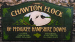 Chawton Flock