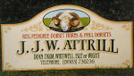 J J W Attrill